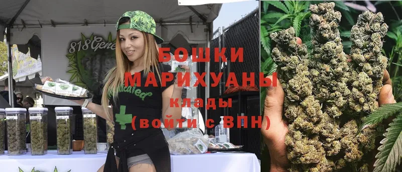 Бошки марихуана Ganja  где купить   mega зеркало  Кировград 